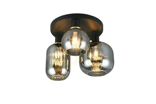 Kontrollera Trio DIVA Plafond 619800332