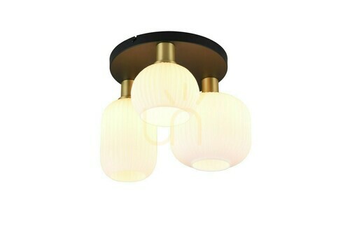 Kontrollera Trio DIVA Plafond 619800308