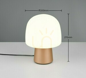 Trio STEEN bordslampa 568200165 small 6