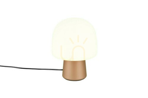 Kontrollera Trio STEEN bordslampa 568200165