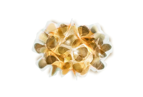 Kontrollera Slamp Clizia Applique Mama Non Mama Gold vägglampa
