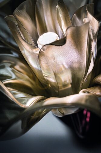 Kontrollera Slamp Lafleur Applique Velvet vägglampa