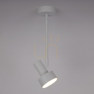 Plafond Sigma MONA vit 1xGX53 12W stål SKU 40987 small 1