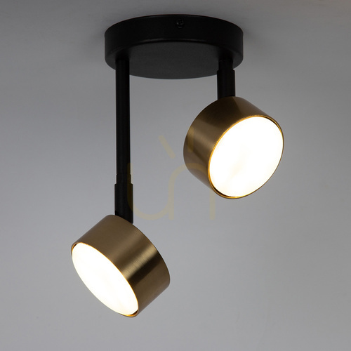 Kontrollera Plafond Sigma NEMO 2xGX53 svart/guldborstad 41087