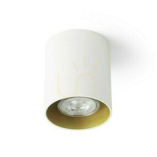 Kontrollera Downlight Mantova I Tak Vit/Pärlguld 230 V Led Gu10 7 W.