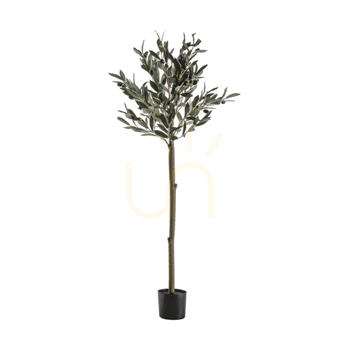 Kontrollera Olivträd medium 121 cm grön Gallery Direct 5059413399831
