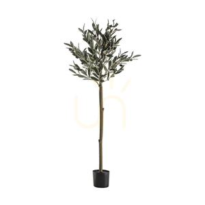Olivträd medium 121 cm grön Gallery Direct 5059413399831 0 Olivträd medium 121 cm grön Gallery Direct 5059413399831 small 0