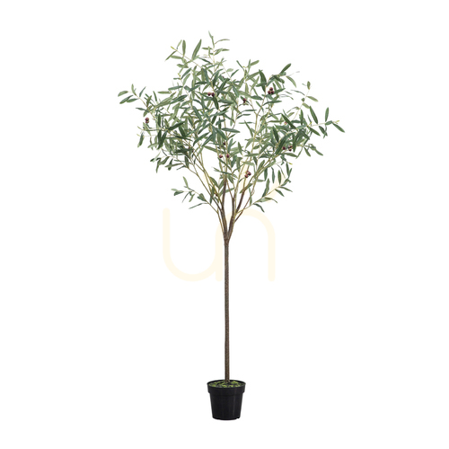 Kontrollera Olivträd konstgjort grön 172 cm Gallery Direct 5059413698620