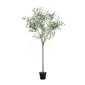 Olivträd konstgjort grön 172 cm Gallery Direct 5059413698620 0 Olivträd konstgjort grön 172 cm Gallery Direct 5059413698620 small 0