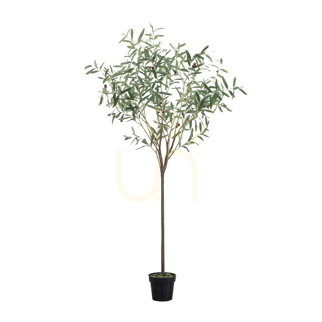 Kontrollera Olivträd konstgjort grön 172 cm Gallery Direct 5059413698620 Olivträd konstgjort grön 172 cm Gallery Direct 5059413698620