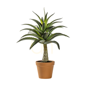 Krukväxt agave grön 57 cm Gallery Direct 5059413399671 small 0