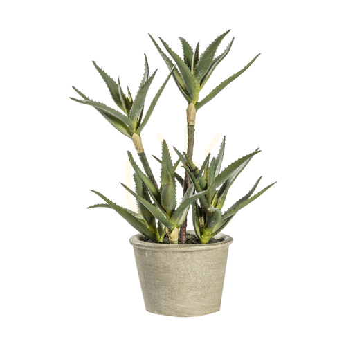 Kontrollera Konstgjord aloe i kruka grön 38 cm Gallery Direct 5059413399176