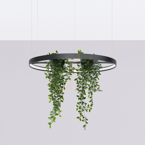 Kontrollera RIO BIO 78 svart LED 4000K ljuskrona