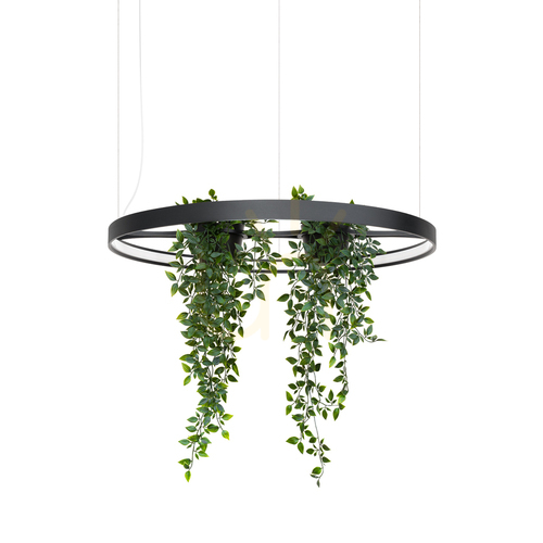 Kontrollera RIO BIO 78 svart LED 4000K ljuskrona