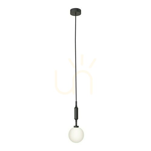 Kontrollera Pendellampa Ero I Nero A Open Design Highlights opalvit matt svart G9 1800 mm