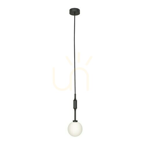 Kontrollera Pendellampa Ero I Nero B Opalvit Matt Svart Open Design Highlights G9 120 mm