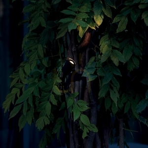 Utomhusvägglampa Ideallux KOALA 331355 svart LED 3W aluminium 2 Utomhusvägglampa Ideallux KOALA 331355 svart LED 3W aluminium small 2