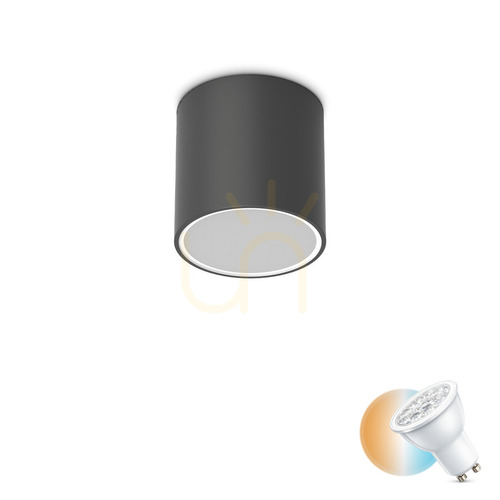 Kontrollera Utomhusplafond Ideallux TECHO 342719 svart rund Ø15 cm GU10 IP54