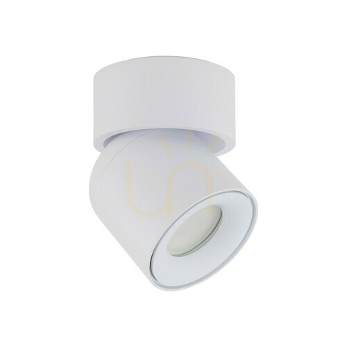 Kontrollera Twist Vit Gu10