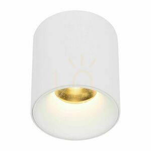 Blaze White Cct 12 W small 4