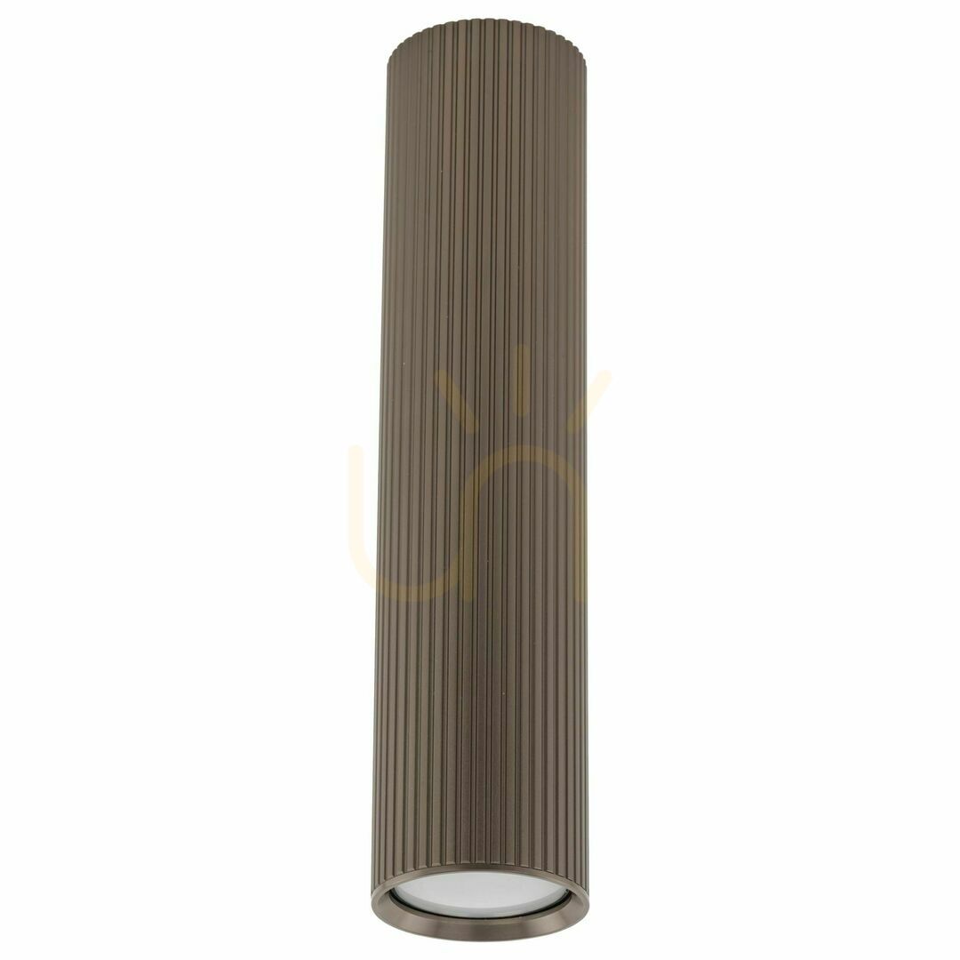 Tune Braun L 1 Xgu10