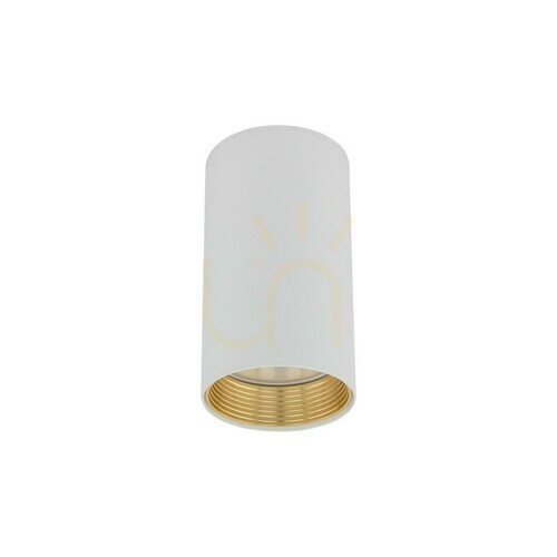 Kontrollera Amis vit downlight