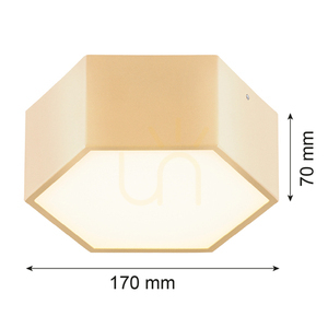 Plafond ARGON LIBERO 8808 LED guld IP20 small 2