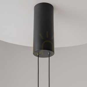EVOLUTION taklampa MOD396PL-L10BL3K Maytoni small 4
