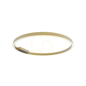 Zambelis 23026 LED-taklampa ring Ø80 cm 50W 3000K mattguld, dimbar small 1