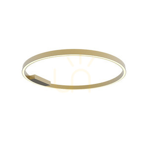Zambelis 23026 LED-taklampa ring Ø80 cm 50W 3000K mattguld, dimbar small 0