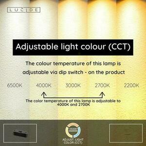 Taklampa Lucide LIANE brun aluminium 2-ljus LED 40W 46404/99/97 small 4