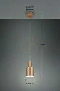 Trio ELIOR taklampa DL165319400 small 5
