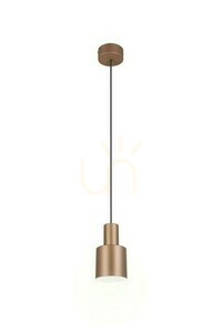 Trio ELIOR taklampa DL165319400 small 0