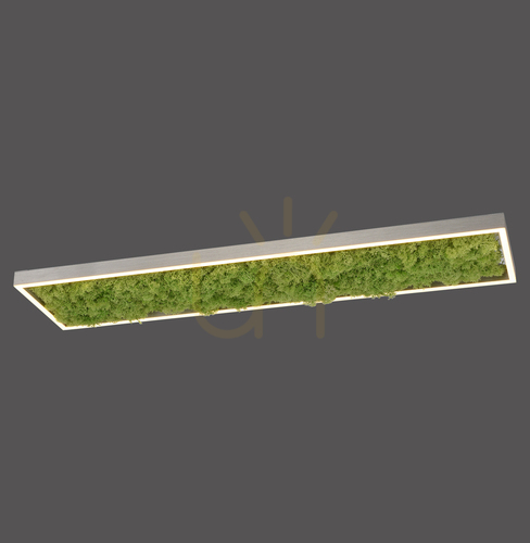 Kontrollera GREEN KNUT Plafond 15623-66 Beige 1xLED