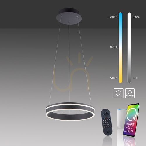 Kontrollera Q-VITO 8410-13 Antracit 1xLED taklampa