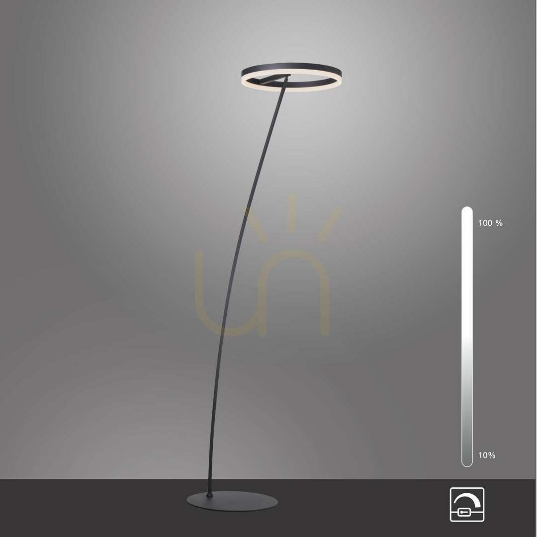 Utsikt TITUS 381-13 Antracit 1xLED Golvlampa TITUS 381-13 Antracit 1xLED Golvlampa