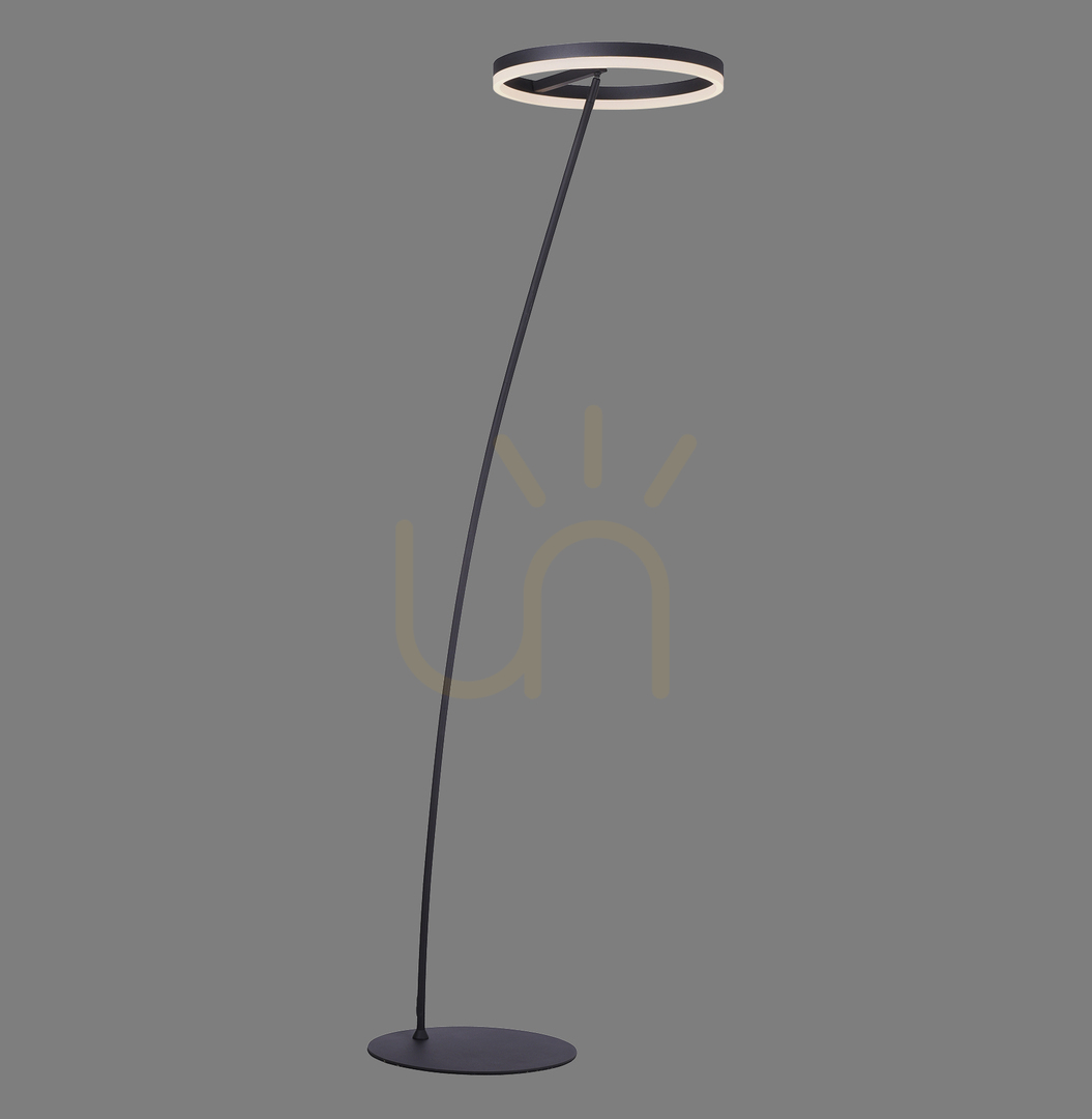 Kontrollera TITUS 381-13 Antracit 1xLED Golvlampa TITUS 381-13 Antracit 1xLED Golvlampa