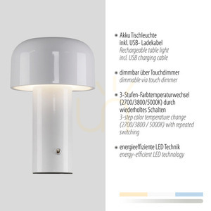 AGNES Bordslampa 19190-16 Vit 1xLED small 3