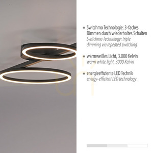 Zuma Line MINI RITUS 14211-18 svart LED-taklampa, 4 ljuspunkter small 3