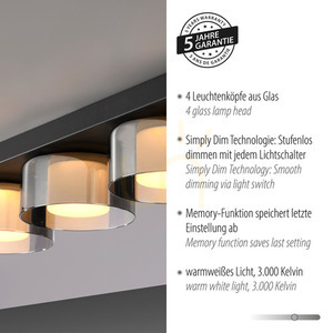 Plafond RIKA 6164-18 Svart 4xLED small 4