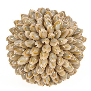 Dekorationsboll Oluolu Shell Ball M 11 cm small 2