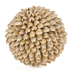 Dekorationsboll Oluolu Shell Ball M 11 cm small 8