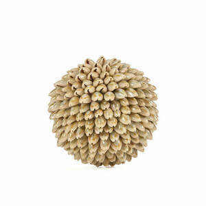 Dekorationsboll Oluolu Shell Ball M 11 cm small 0