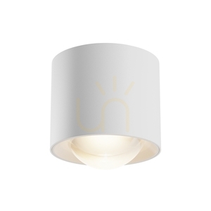 Plafond LENS C217CL-15W3K-W IP44 Maytoni small 1