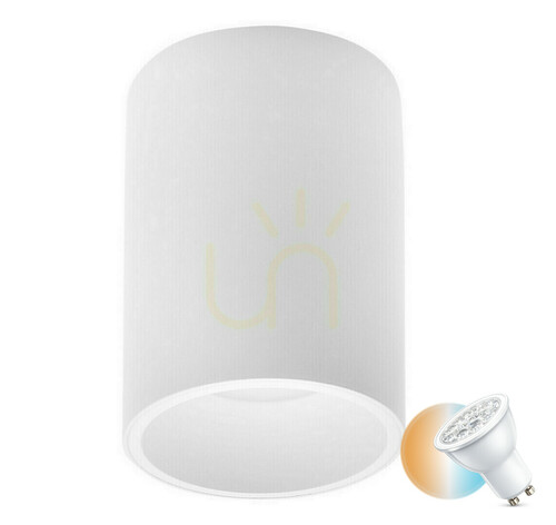 Kontrollera Plafond CANUELAS Luces Exclusivas LE61419