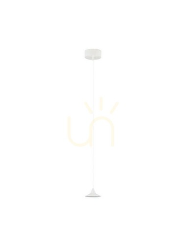 Kontrollera ACULA Luces Exclusivas taklampa LE43492