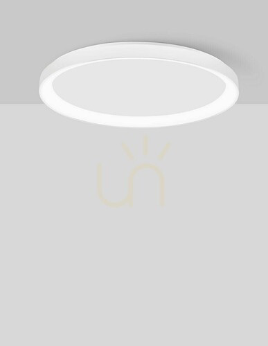 Kontrollera Plafond ROTA Luces Exclusivas LE43525