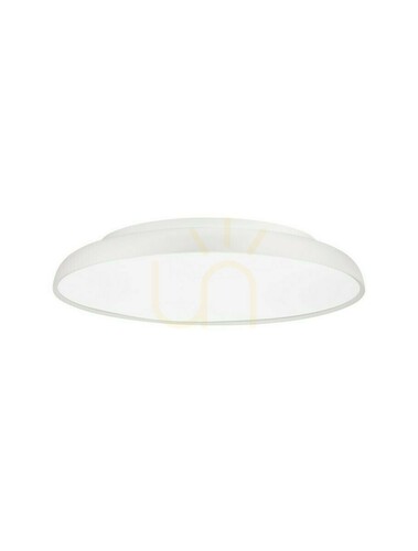 Kontrollera Plafond BARCA Luces Exclusivas LE43541