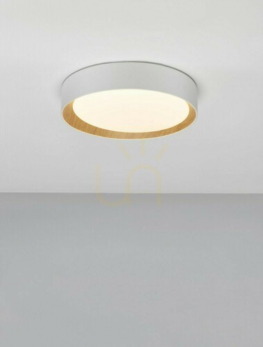 Kontrollera Plafond ROSITA Luces Exclusivas LE43583