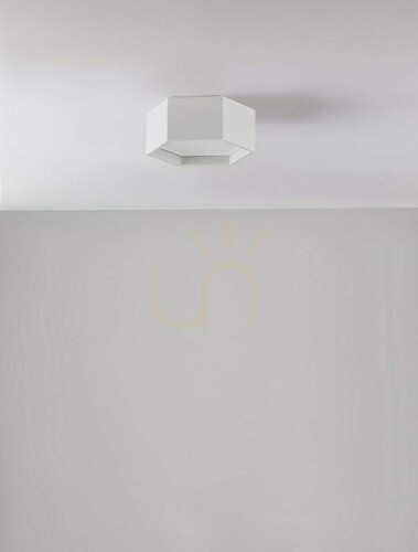 Kontrollera Plafond ADRIAN Luces Exclusivas LE43601